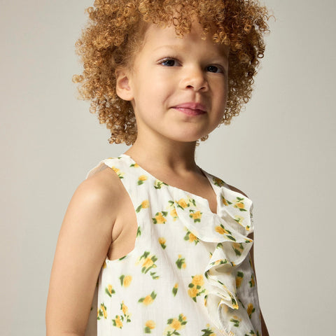 Girls' drop-waist ruffle dress in blurry rose print