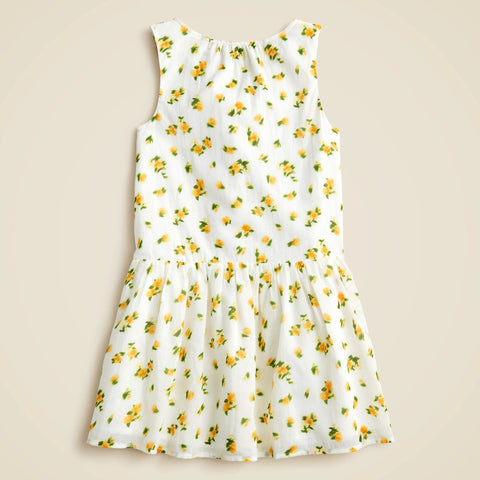 Girls' drop-waist ruffle dress in blurry rose print