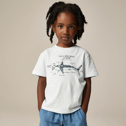 Kids' short-sleeve hammerhead shark graphic T-shirt