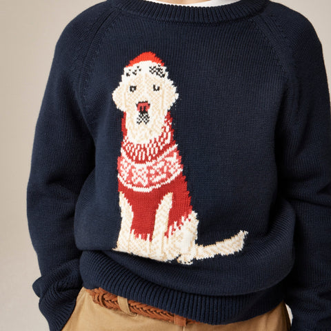 Kids' holiday dog intarsia sweater in cotton