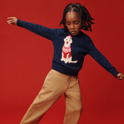 Kids' holiday dog intarsia sweater in cotton