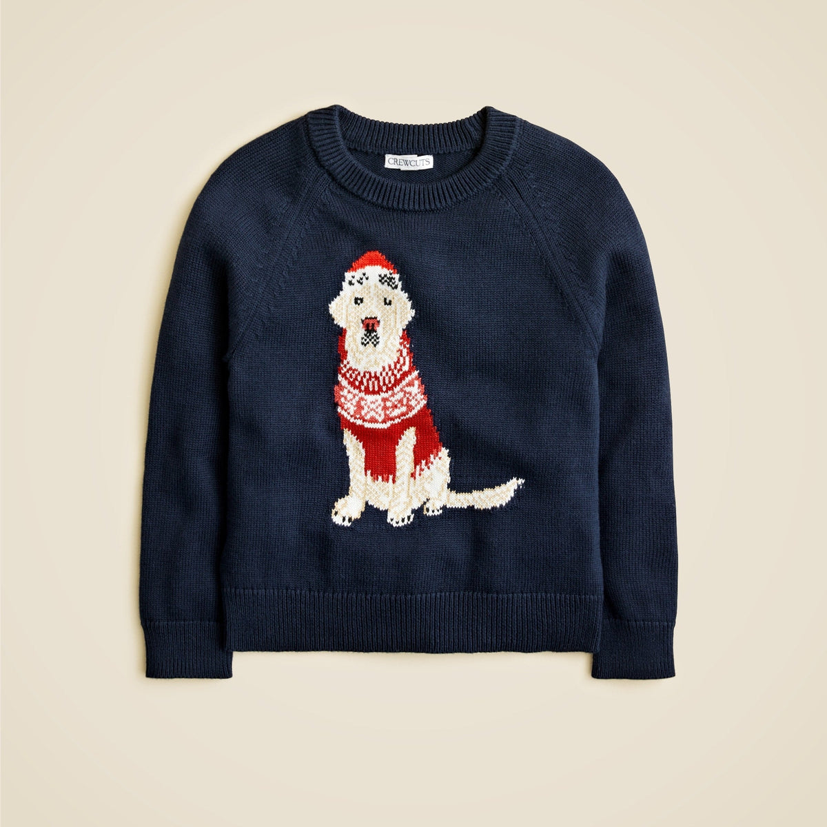 Kids' holiday dog intarsia sweater in cotton
