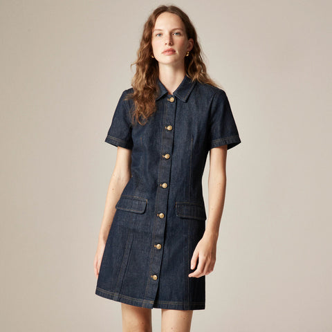 Parc dress in denim