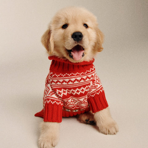 Limited-edition Fair Isle Rollneck™ sweater for dogs